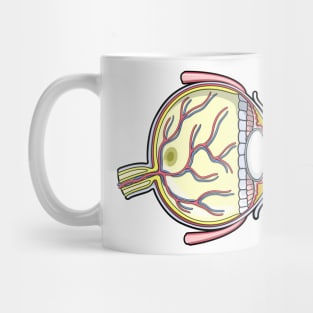 Human Eye Anatomy Illustration Mug